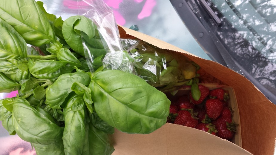 Procuring Local Food: Community Supported&nbsp;Agriculture